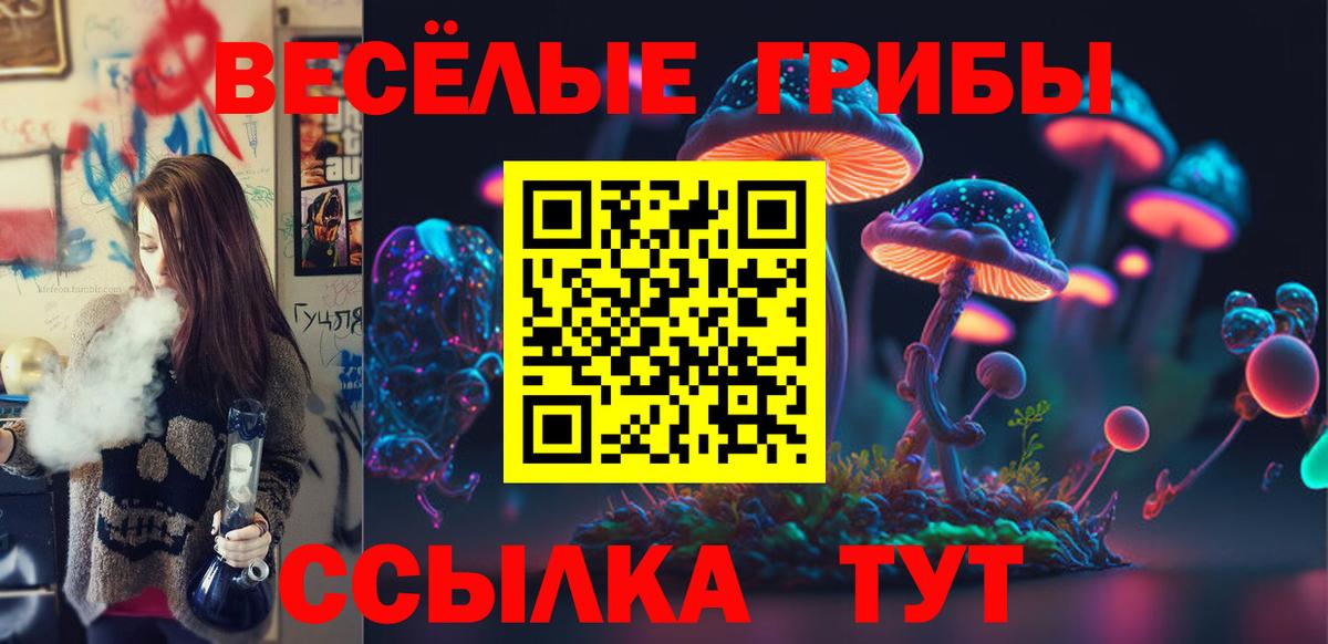 Псилоцибиновые грибы Cubensis Коркино