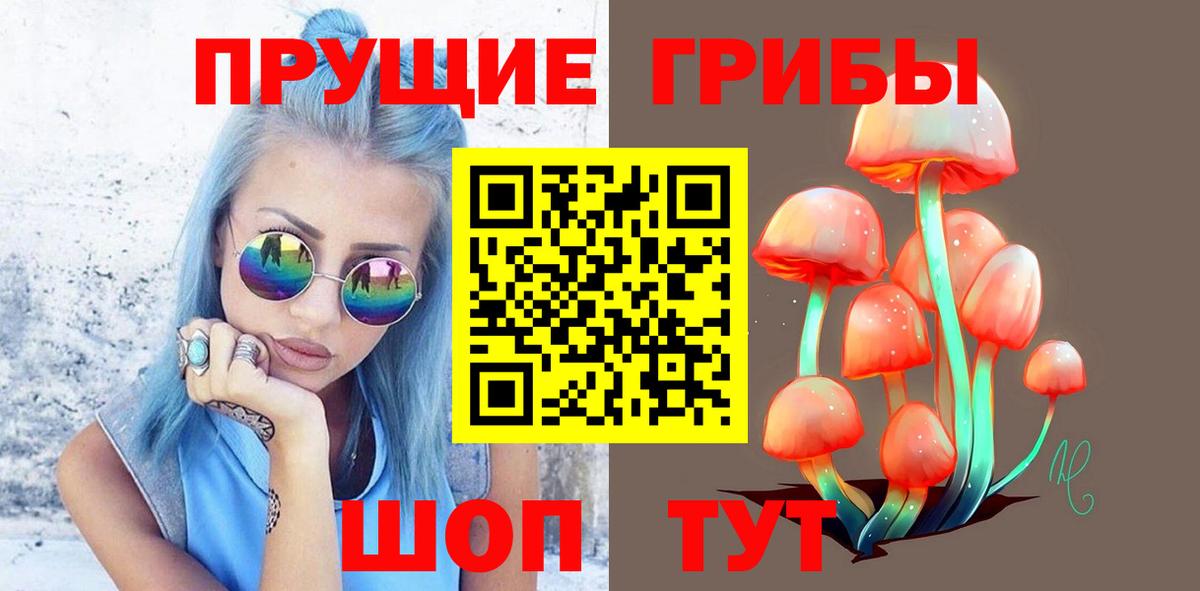 Коркино  Псилоцибиновые грибы Psilocybine cubensis  Вход с VPN 